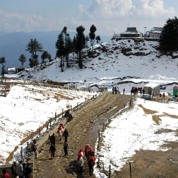 kufri shimla