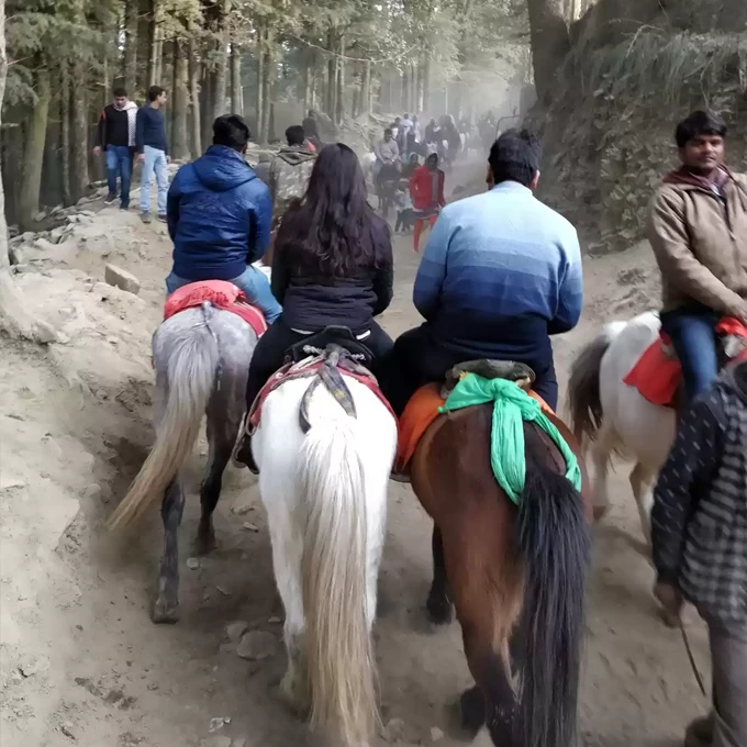 kufri trip
